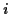 \(i\)