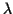 \(\lambda\)